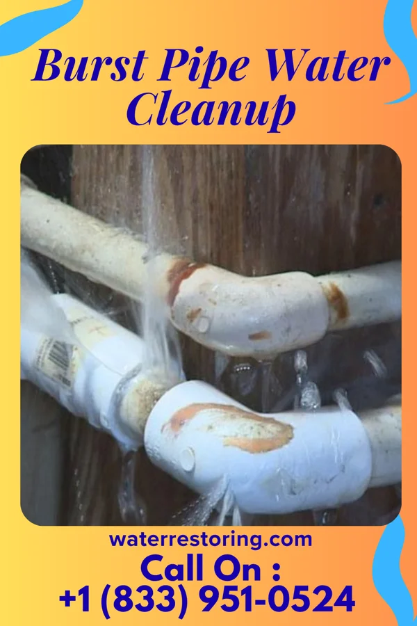 Burst Pipe Water Cleanup in Beecher City, IL