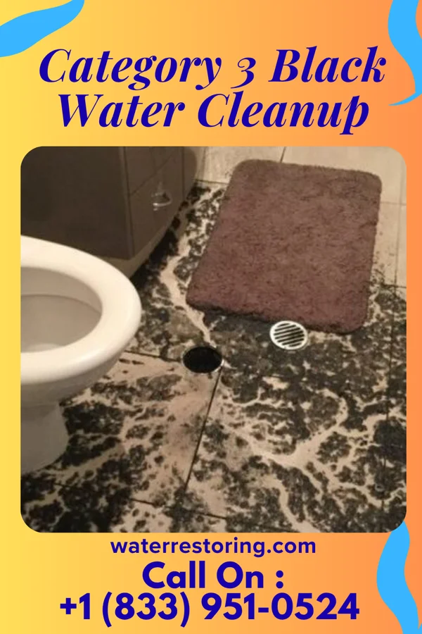 Category 3 Black Water Cleanup in Beecher City, IL