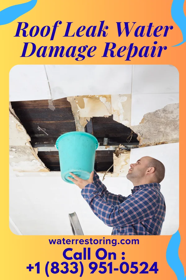 Roof Leak Water Damage Repair in Beecher City, IL