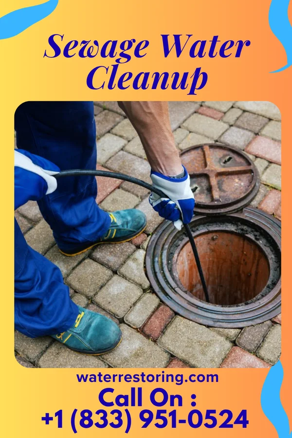 Sewage Water Cleanup in Beecher City, IL